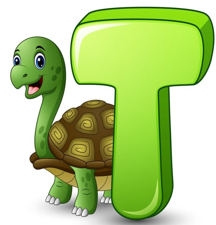 Letter t is for turtle cartoon alphabet vector image on ...